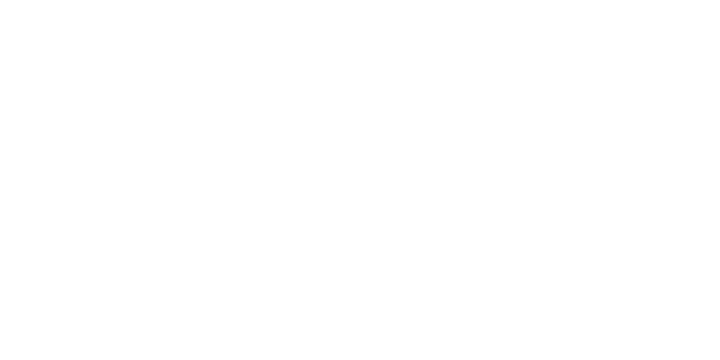 Nintendo logo